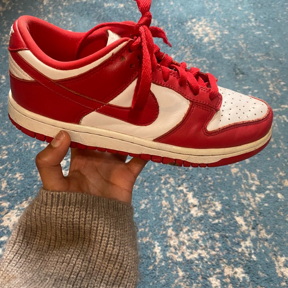 Red Nike Dunks